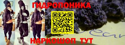дмт Гудермес