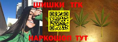 дмт Гудермес