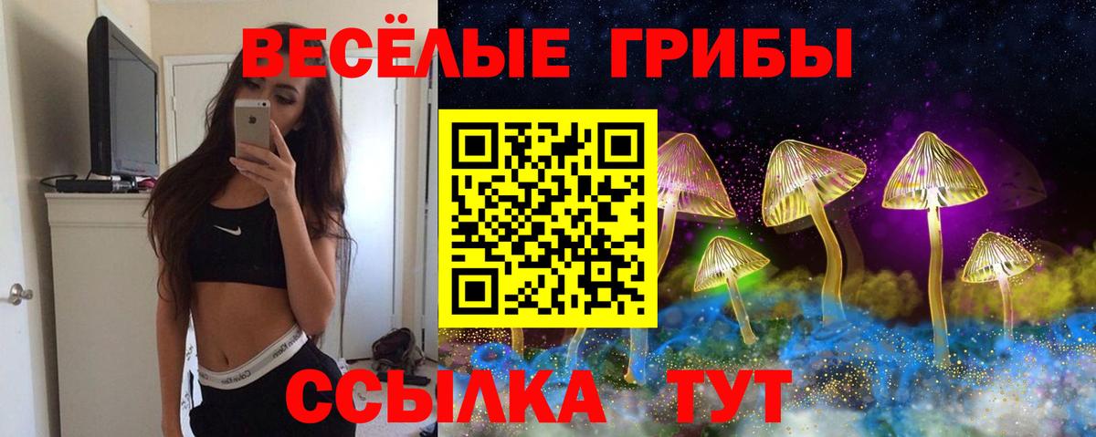 Галлюциногенные грибы MAGIC MUSHROOMS  Вход с VPN  даркнет сайт  Новоалтайск 